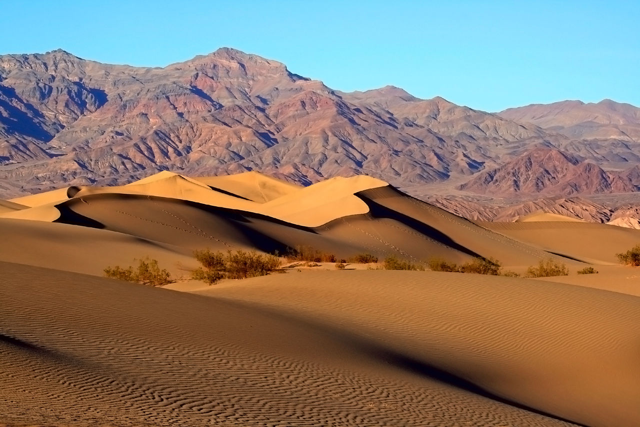 Mesquite Dunes